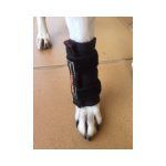 soporte de carpo para perros 3