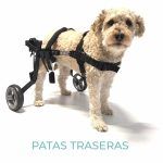 evasion dog small patas traseras - ortopedia mascotas