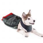 Bolsa de desplazamiento para perro - 1