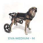 EVA-MEDIUM-M