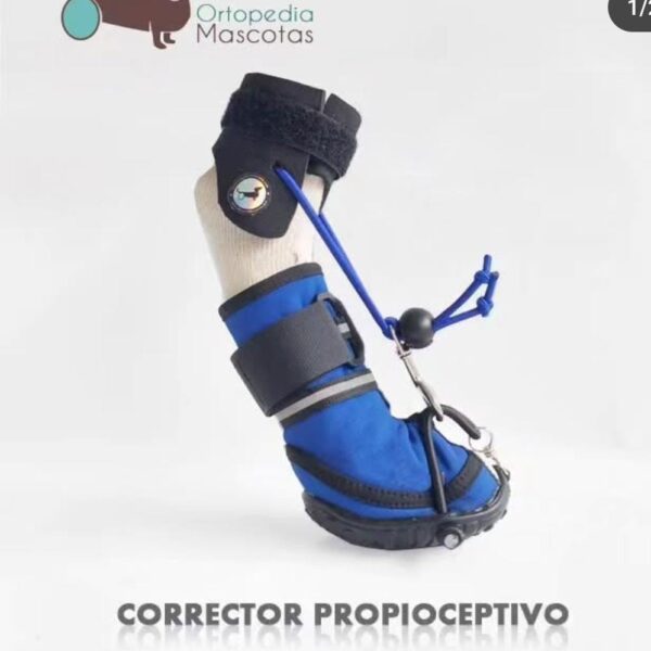 Bota propioceptiva par